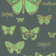 Butterflies & Dragonflies (103-15067)